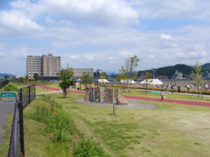 足利赤十字病院　東側広場　＜芝苗植え付け＞6月30日～7月1日（2日間）