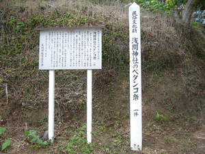 ペタンコ祭＜足利市浅間神社＞